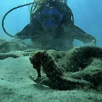 La Nona Urban Cruz *