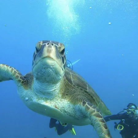 La Nona Urban Cruz *