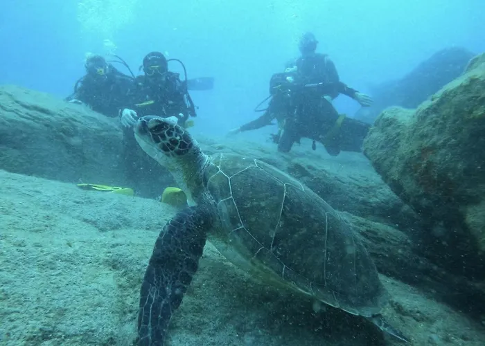 La Nona Urban Cruz *